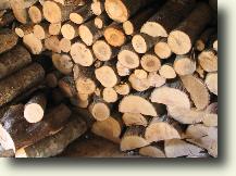 wood